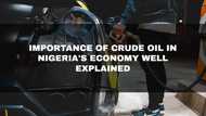 Importance of crude oil in Nigeria's economy well explained