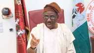 Cattle movement fuelling herders/farmers crisis, says Osun senator
