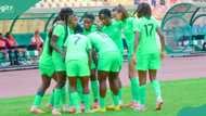 Paris 2024 Olympics: Super Falcon coach, Waldrum selects Ajibade, Oshoala, 16 others