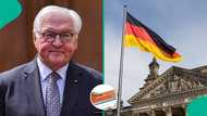 Germany publishes list of 5 jobs in high demand across the country in 2026, shows list