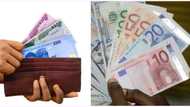 Naira against dollar hits N767, falls heavily against euro, pound ahead of 2023 general election