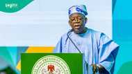 Yan Najeriya sun maida martani da Tinubu ya ce ba zai iya zuwa kamfe wasu jihohi ba