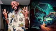 "We dey wait": More details about Davido’s Timeless album emerge as many react to OBO’s music cover