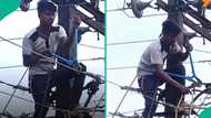 Man reportedly climbs pole to disconnect electricity of village after girlfriend failed to pick call
