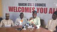 Tinubu's running mate: Dogara remains best option, says APC group