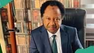 “CAF is unfair to us”: Shehu Sani alleges as Nigeria kicks-off AFCON 2024 campaign