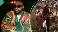 Davido reacts as fan starts journey to see him from Taraba state by foot: "Na your body go tell you"