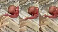 "Put me back": Newborn infant grabs doctor's hand and refuses to let go, hilarious video goes viral