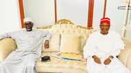 Jam’iyyar NNPP da Kwankwaso sun gamu da cikas a hanya daga bangaren Shekarau