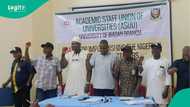 ASUU raises fresh strike alarm over unpaid salaries: ‘We cannot predict what comes next’