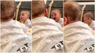 Adorable baby sees his reflection in mirror, reacts hilariously, video trends