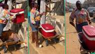 "This business fed me in school": Lady sells juice in wheelbarrow, turns it into full-time hustle