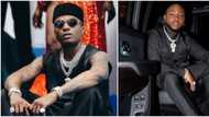 Fan war in the mud: Video captures moment Wizkid started dancing to Davido's Champion Sound in the club
