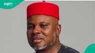 Anambra Decides 2025: 3 reasons APC may win election