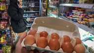 Rising egg prices show cracks in sanctions-hit Russian economy