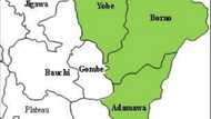 Borno, Adamawa, Yobe da wasu Jihohi 14 masu matukar hatsari a Najeriya
