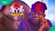 2027 election: Baba-Ahmed mentions who Tinubu should step aside for, gives reasons