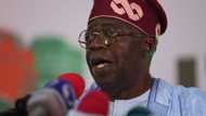 Tinubu’s government allegedly working on daily wages for workers, debunks minimum wage increase