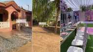 "The trees were covered": Man transforms old compound to luxury wedding venue, video stuns many