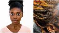 Crazy hair trends: Mixed reactions as lady tattoos 'baby hair' in trending photos