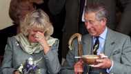 Breaking: Confusion as Queen Elizabeth’s eldest son and heir apparent to the throne tests positive to coronavirus