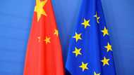 EU business lobby head says China rare earths snag persists