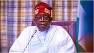 Why I still have my green-back passport, Tinubu opens up