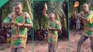 "He tried his best": Man who attended party sprays leaves instead of money, dances in open arena