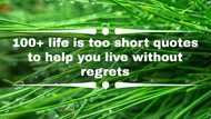 100+ life is too short quotes to help you live without regrets