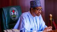 Jerin jakadu 12 da Buhari ya sabunta nadin mukaminsu