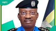 Nigeria Police Force condemns spy officer’s political comments ahead of Edo elections