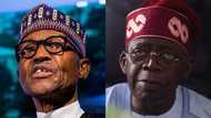 2023 polls: Buhari finally gives reason for not endorsing Tinubu during APC primaries