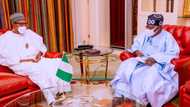 2023: Tinubu deserves to be president but I want PDP candidate to succeed Buhari, says ex-presidential aide