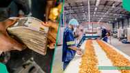 3-year-old food company beats MTN, Dangote, banks to become most valuable firm in Nigeria