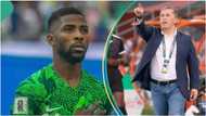 AFCON 2023: Cracks in Super Eagles camp over Iheanacho's alleged rift with coach Jose Peseiro