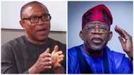 ‘Emi L’okan’: ‘It is the turn of Nigerians, not one greedy politician’, Obi blasts Tinubu