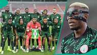 Osimhen, 7 others face suspension risks as Nigeria prepares for World Cup playoff final