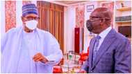 Obaseki opens up on his meeting with Buhari, shares crucial details