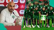 AFCON 2025: Walid Regragui names 3 Super Eagles stars who scare Morocco
