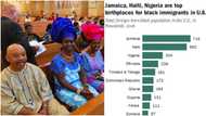 10 US states that have the highest population of Nigerians