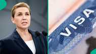 Denmark mentions 7 countries whose citizens can apply for its Working Holiday visa