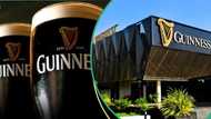 "Business will continue": Guinness Nigeria speaks on alleged exit from Nigerian market