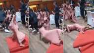 "Why she dey dance like agbero?" Embarrassing moment bridesmaid crashed to ground while dancing at wedding