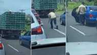 Social media reacts hilariously to video of man stealing chicken that jumped from truck in traffic