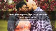 150+ good evening message for my wife ideas to make her smile