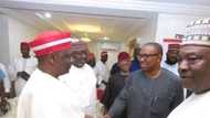 Why Kwankwaso cannot be Peter Obi's vice, Jibrin makes crucial point