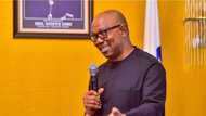 2023 presidency: Ex-APC vice chairman reveals zones, areas where Peter Obi will get massive votes