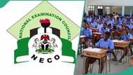 Breaking: Exam body NECO releases 2026 SSCE results