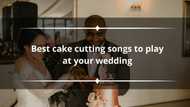 100+ best cake-cutting songs to play at your wedding