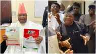 This man and dance na 5 & 6: Reactions as Senator Adeleke dances energetically after PDP guber screening